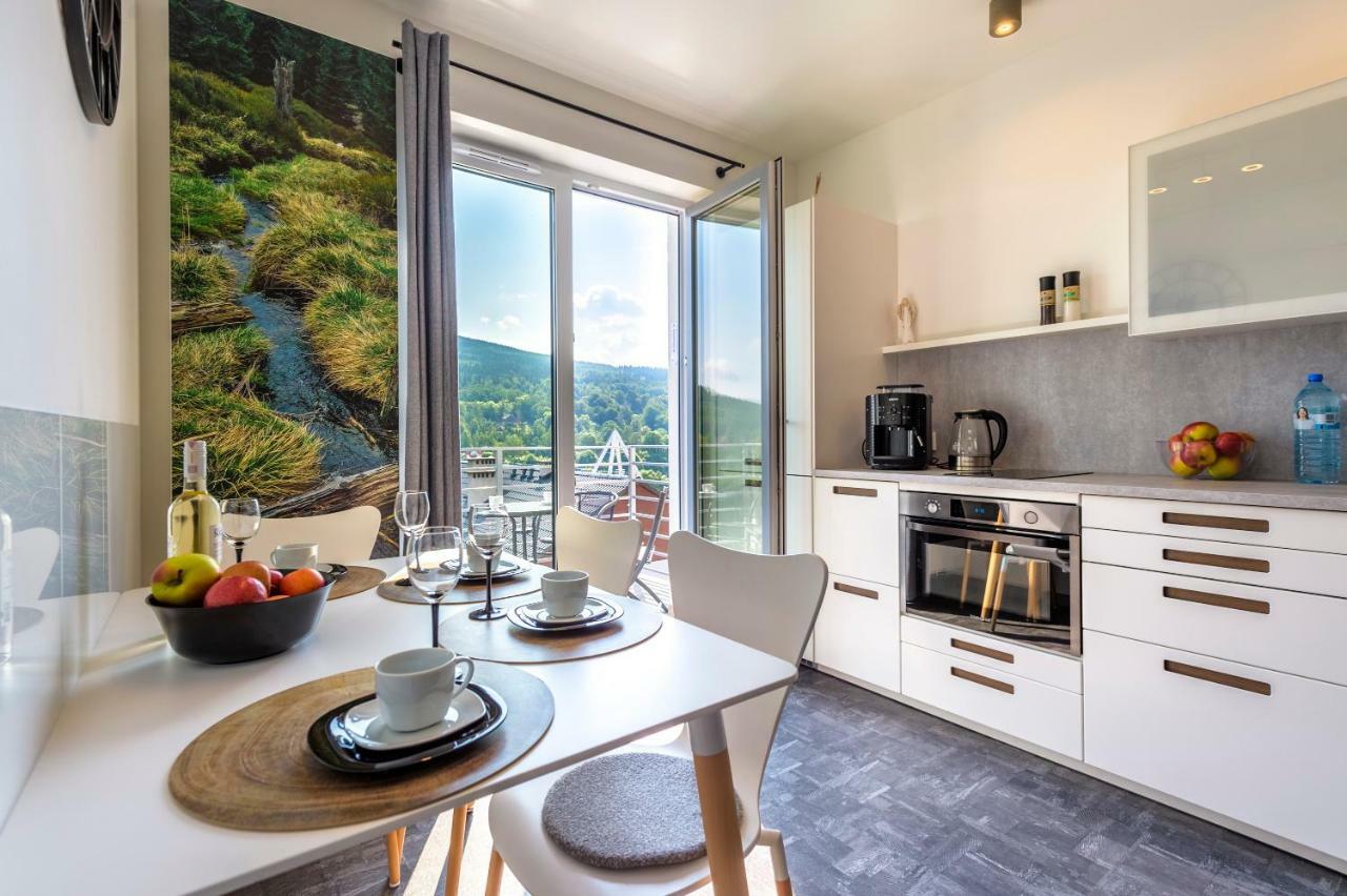 Apartament Logana Z Sauna - 5D Apartamenty Świeradów-Zdrój Dış mekan fotoğraf